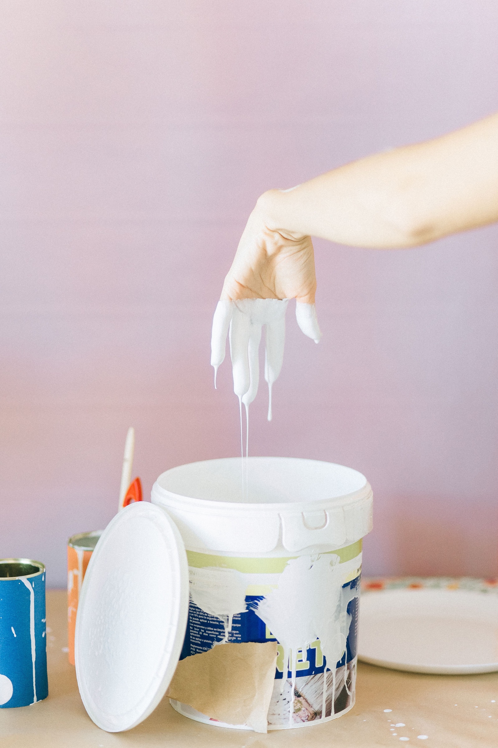 Como Escolher a Tinta Ideal para o Seu Interior? - Casa Renova